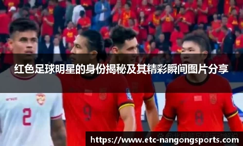 ng体育官网